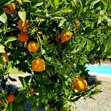 Giardino Dell'alcantara Vakantiehuis Taormina